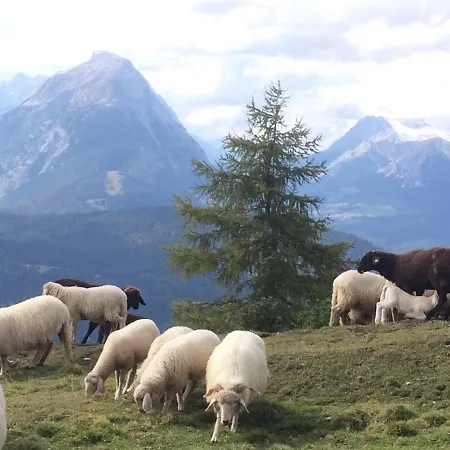 Krinzerhaeusl شقة