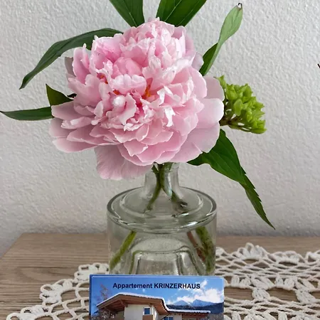 Krinzerhaeusl Апартаменти