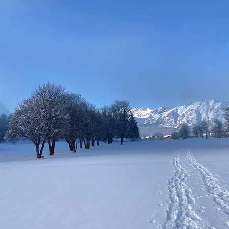 Апартаменты Krinzerhaeusl *