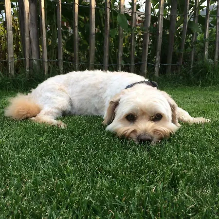 Апартаменты Krinzerhaeusl