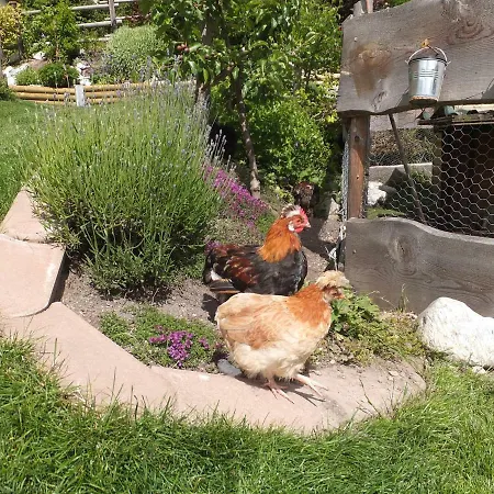 شقة Krinzerhaeusl *