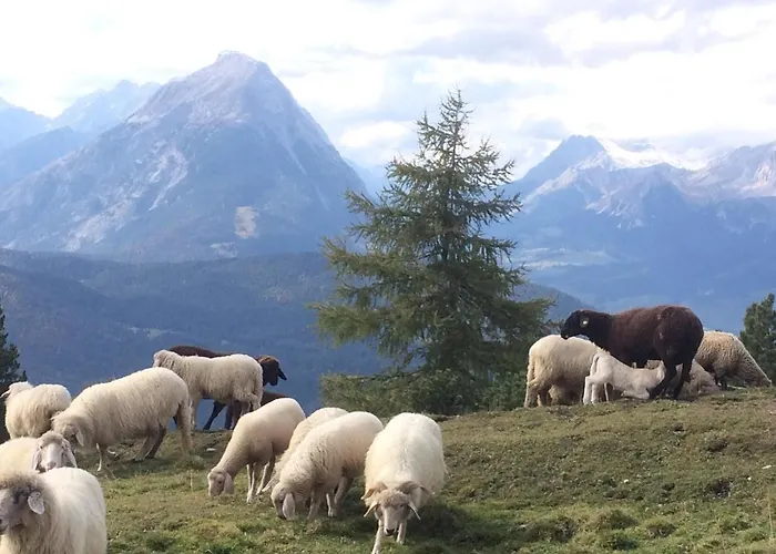 Krinzerhaeusl Апартаменти