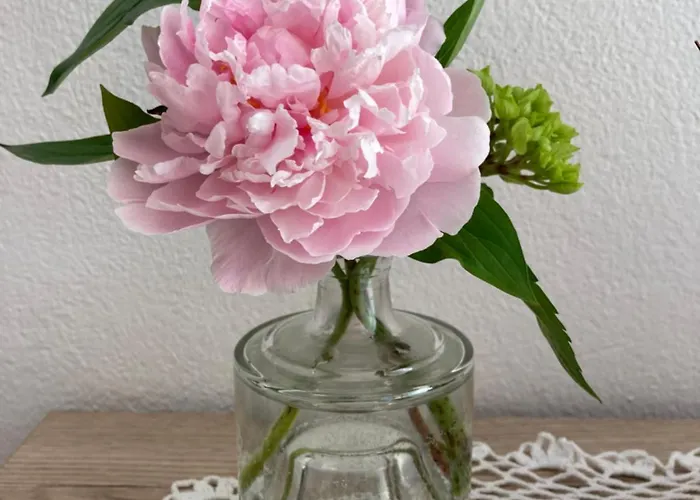 Krinzerhaeusl Апартаменти