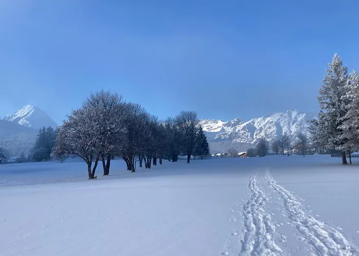 Апартаменти Krinzerhaeusl *