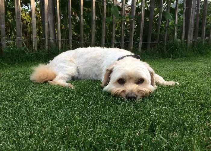 Apartamento Krinzerhaeusl