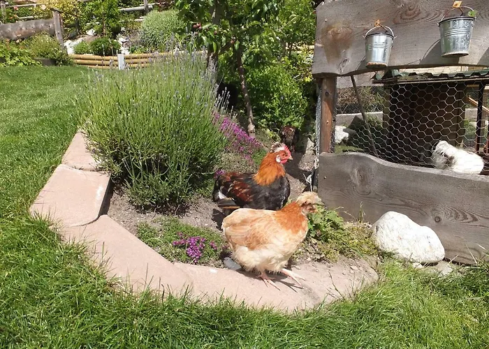 Apartment Krinzerhäusl *